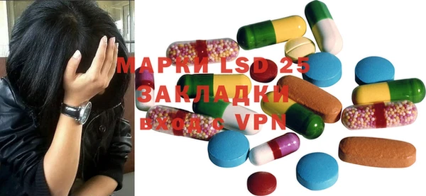 прущие грибы Бородино
