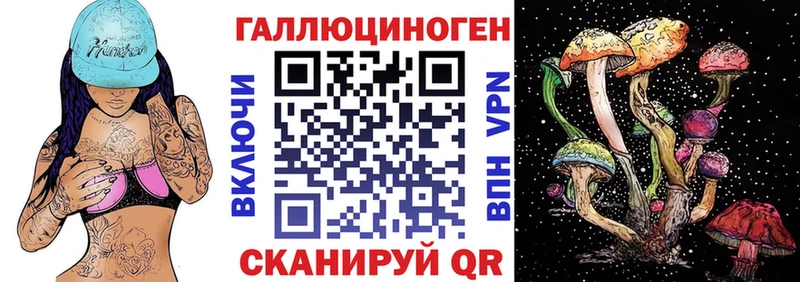Псилоцибиновые грибы прущие грибы  Чегем 