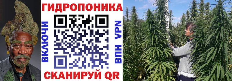 Канабис марихуана Чегем